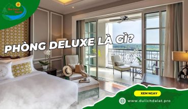 Phòng Deluxe là gì