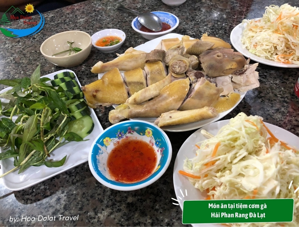 Gà luộc thơm vàng ăn kèm cùng rau tươi ở cơm gà Hải Phan Rang